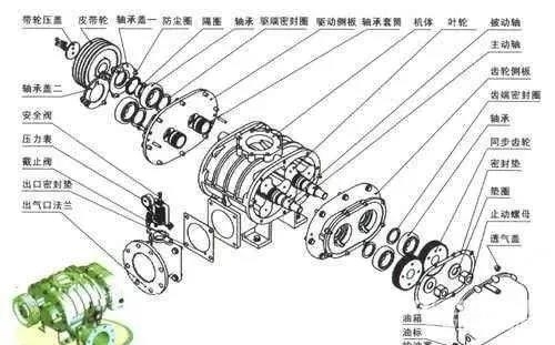 罗茨风机结构及工作原理解剖图!