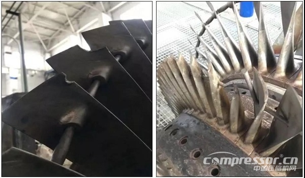 案例:某厂合成气jdb电子游戏平台网站
组汽轮机断叶片分析