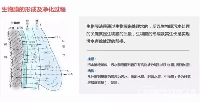 一文搞懂国内6大主流污水处理工艺!就知道空压机的用途了