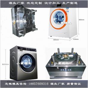 台州注塑模具供应 纳米抗菌洗衣机塑料模具