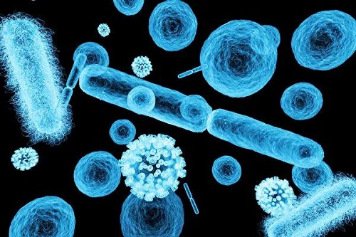 分享 | 水螺杆的压缩空气中会有很多微生物吗?