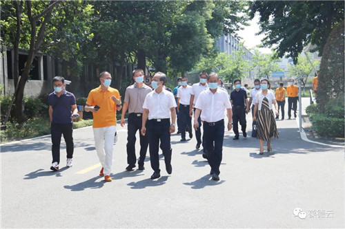 创新引领 数字赋能| 佛山市郭文海市长莅临葆德调研指导!
